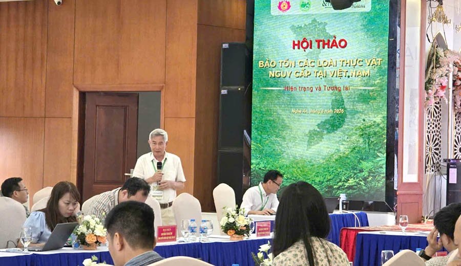 Bảo[-]tồn[-]c&aacute;c[-]lo&agrave;i[-]thực[-]vật[-]nguy[-]cấp[-]tại[-]Việt[-]Nam:[-]từ[-]hiện[-]trạng[-]đến[-]giải[-]ph&aacute;p[-]bền[-]vững
